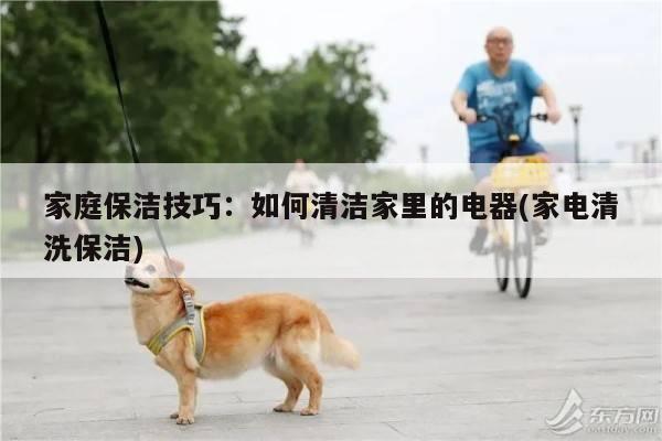 家庭保洁技巧:如何清洁家里的电器(家电清洗保洁)