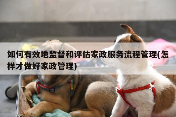 如何有效地监督和评估家政服务流程管理(怎样才做好家政管理)