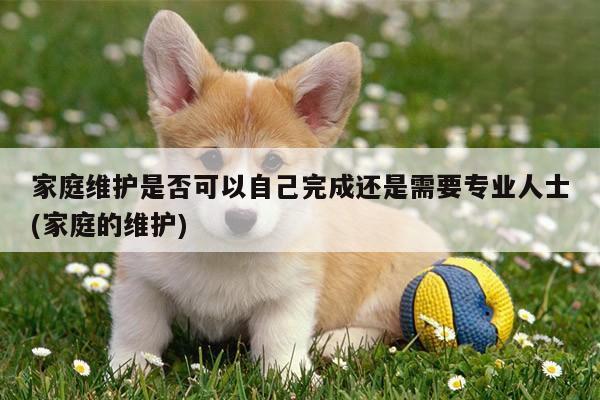 家庭维护是否可以自己完成还是需要专业人士(家庭的维护)