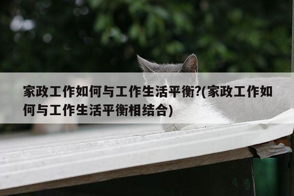 家政工作如何与工作生活平衡?(家政工作如何与工作生活平衡相结合)