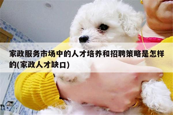 家政服务市场中的人才培养和招聘策略是怎样的(家政人才缺口)