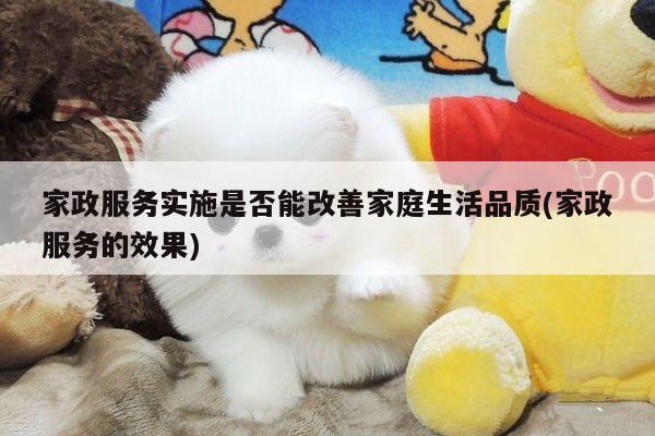 家政服务实施是否能改善家庭生活品质(家政服务的效果)
