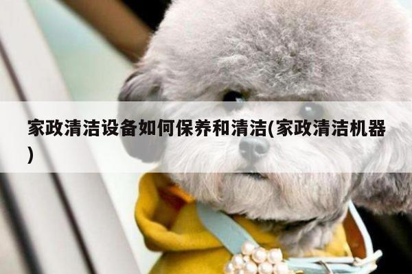 家政清洁设备如何保养和清洁(家政清洁机器)