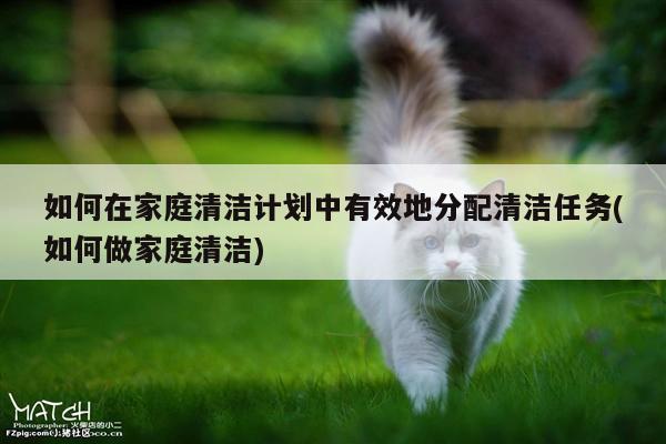 如何在家庭清洁计划中有效地分配清洁任务(如何做家庭清洁)