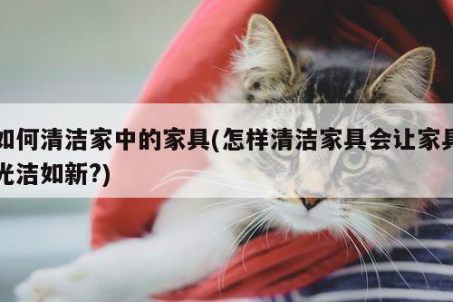 如何清洁家中的家具(怎样清洁家具会让家具光洁如新?)