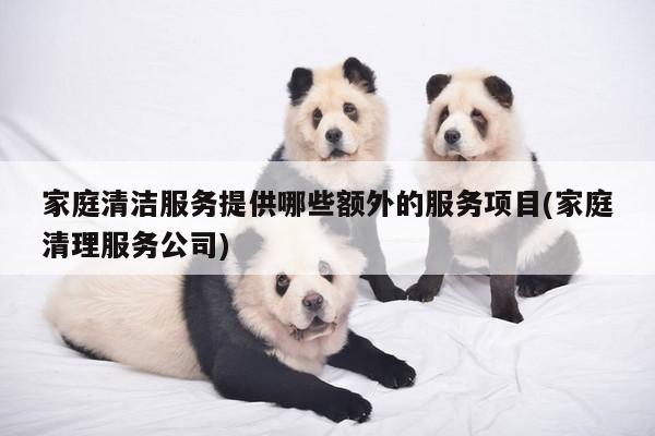 家庭清洁服务提供哪些额外的服务项目(家庭清理服务公司)