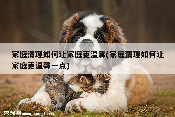 家庭清理如何让家庭更温馨(家庭清理如何让家庭更温馨一点)