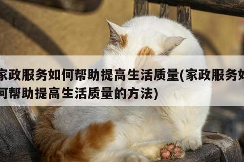 家政服务如何帮助提高生活质量(家政服务如何帮助提高生活质量的方法)