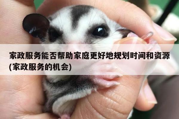 家政服务能否帮助家庭更好地规划时间和资源(家政服务的机会)