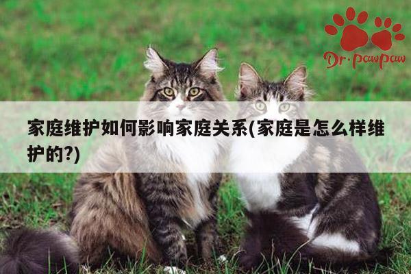 家庭维护如何影响家庭关系(家庭是怎么样维护的?)