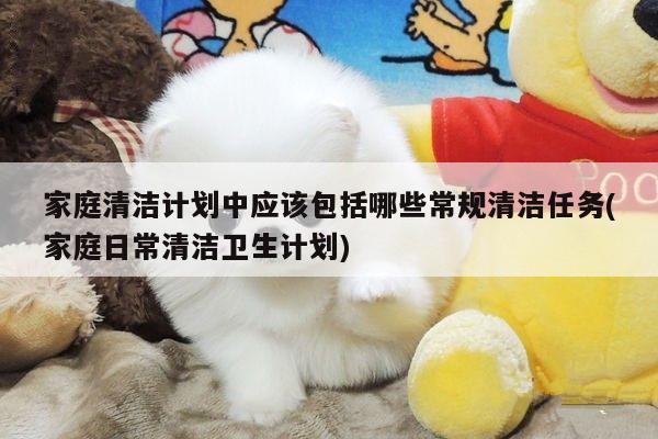 家庭清洁计划中应该包括哪些常规清洁任务(家庭日常清洁卫生计划)
