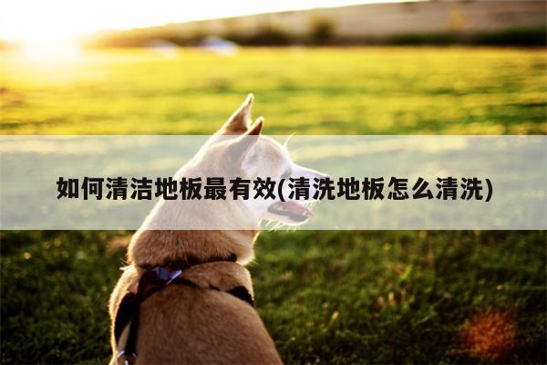 如何清洁地板最有效(清洗地板怎么清洗)