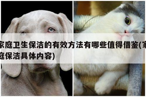 家庭卫生保洁的有效方法有哪些值得借鉴(家庭保洁具体内容)