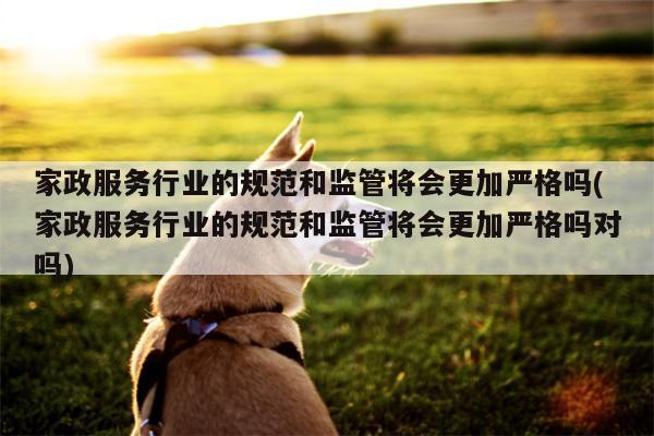 家政服务行业的规范和监管将会更加严格吗(家政服务行业的规范和监管将会更加严格吗对吗)
