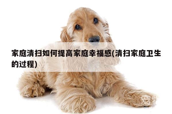 家庭清扫如何提高家庭幸福感(清扫家庭卫生的过程)