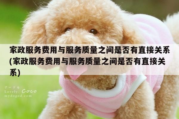 家政服务费用与服务质量之间是否有直接关系(家政服务费用与服务质量之间是否有直接关系)