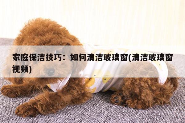 家庭保洁技巧:如何清洁玻璃窗(清洁玻璃窗视频)