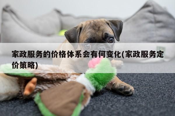 家政服务的价格体系会有何变化(家政服务定价策略)