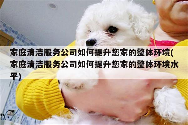 家庭清洁服务公司如何提升您家的整体环境(家庭清洁服务公司如何提升您家的整体环境水平)