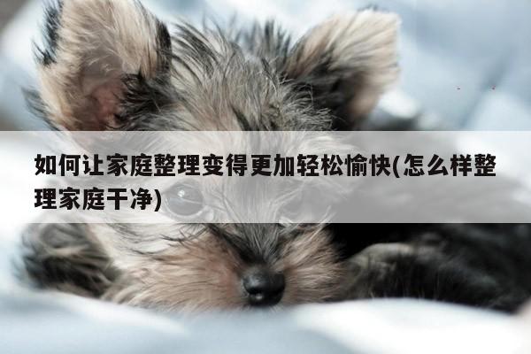 如何让家庭整理变得更加轻松愉快(怎么样整理家庭干净)