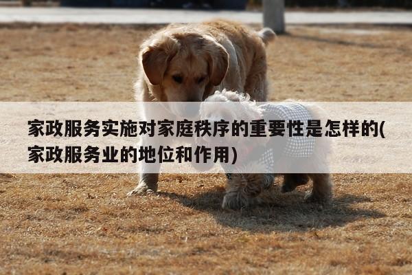 家政服务实施对家庭秩序的重要性是怎样的(家政服务业的地位和作用)