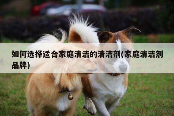 如何选择适合家庭清洁的清洁剂(家庭清洁剂品牌)