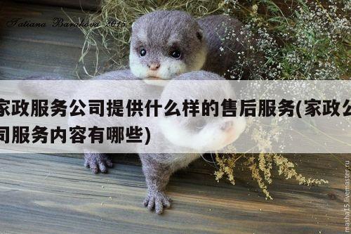 家政服务公司提供什么样的售后服务(家政公司服务内容有哪些)