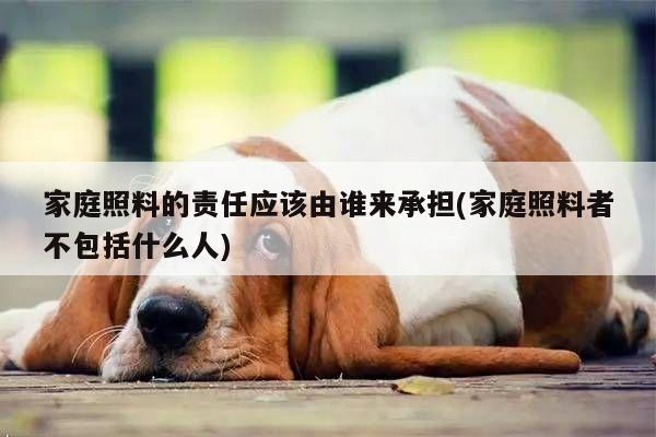 家庭照料的责任应该由谁来承担(家庭照料者不包括什么人)