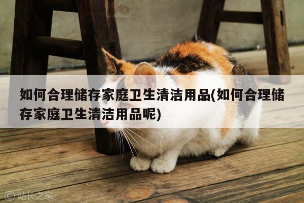 如何合理储存家庭卫生清洁用品(如何合理储存家庭卫生清洁用品呢)