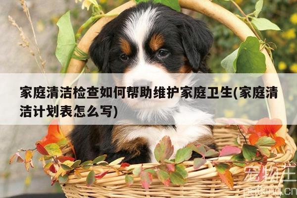 家庭清洁检查如何帮助维护家庭卫生(家庭清洁计划表怎么写)