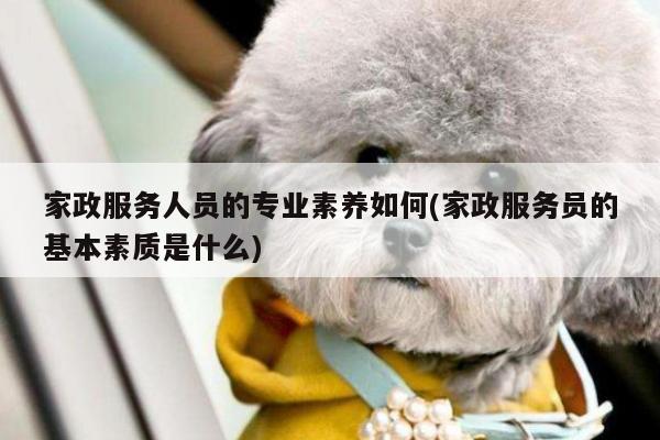 家政服务人员的专业素养如何(家政服务员的基本素质是什么)