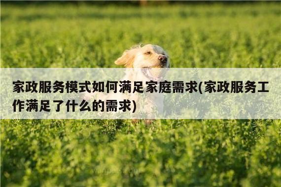 家政服务模式如何满足家庭需求(家政服务工作满足了什么的需求)
