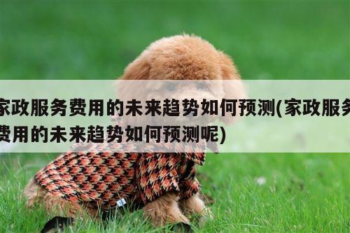 家政服务费用的未来趋势如何预测(家政服务费用的未来趋势如何预测呢)