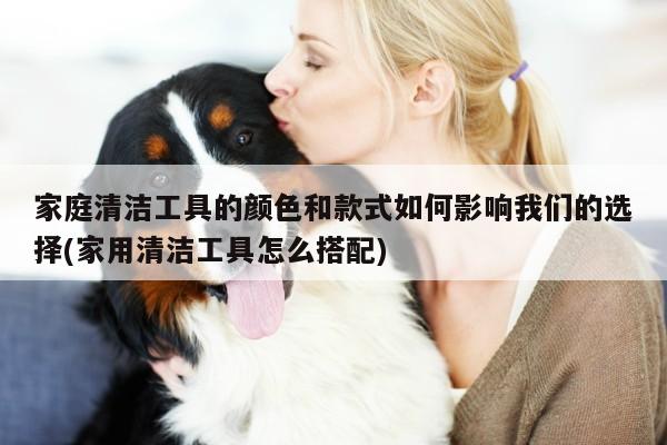 家庭清洁工具的颜色和款式如何影响我们的选择(家用清洁工具怎么搭配)