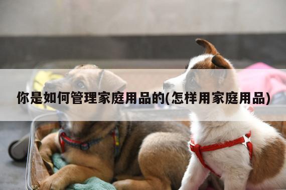 你是如何管理家庭用品的(怎样用家庭用品)