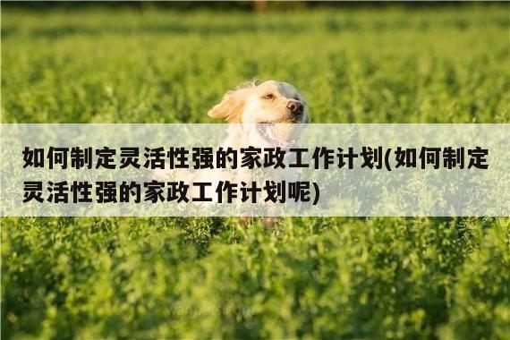 如何制定灵活性强的家政工作计划(如何制定灵活性强的家政工作计划呢)
