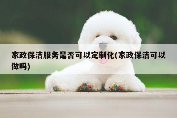 家政保洁服务是否可以定制化(家政保洁可以做吗)