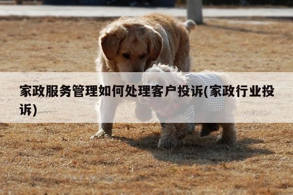 家政服务管理如何处理客户投诉(家政行业投诉)