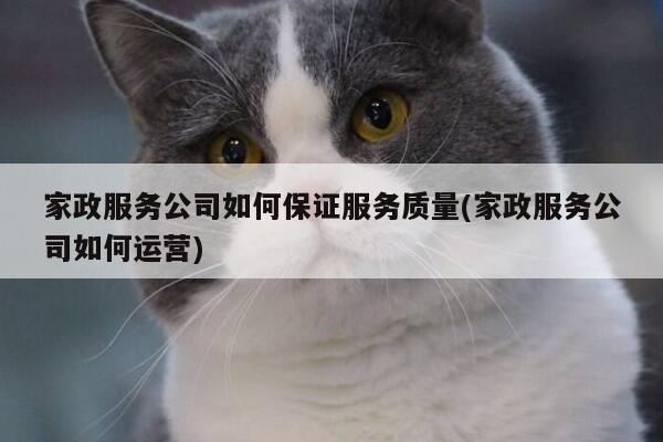 家政服务公司如何保证服务质量(家政服务公司如何运营)