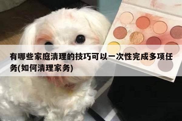 有哪些家庭清理的技巧可以一次性完成多项任务(如何清理家务)