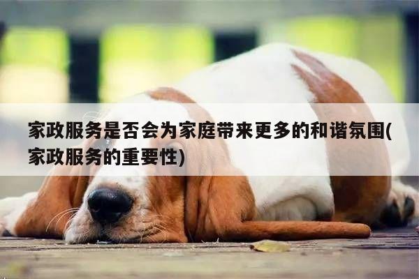 家政服务是否会为家庭带来更多的和谐氛围(家政服务的重要性)