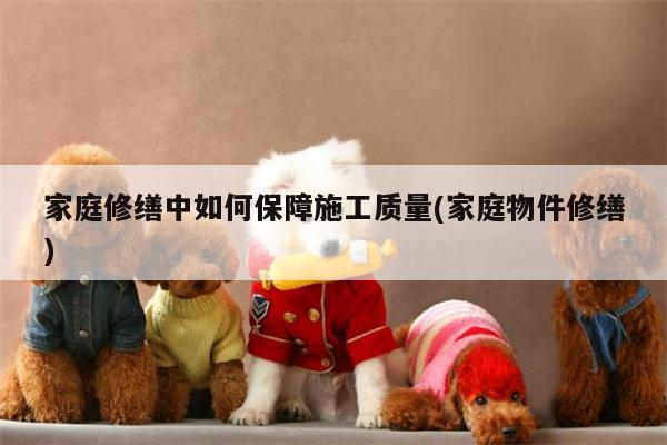 家庭修缮中如何保障施工质量(家庭物件修缮)
