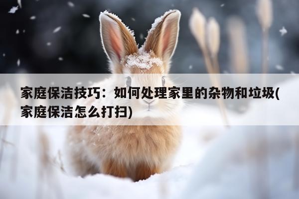 家庭保洁技巧:如何处理家里的杂物和垃圾(家庭保洁怎么打扫)
