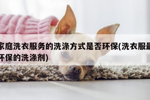 家庭洗衣服务的洗涤方式是否环保(洗衣服最环保的洗涤剂)