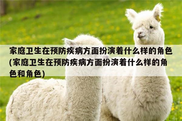 家庭卫生在预防疾病方面扮演着什么样的角色(家庭卫生在预防疾病方面扮演着什么样的角色和角色)