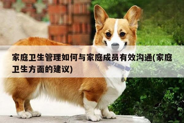 家庭卫生管理如何与家庭成员有效沟通(家庭卫生方面的建议)