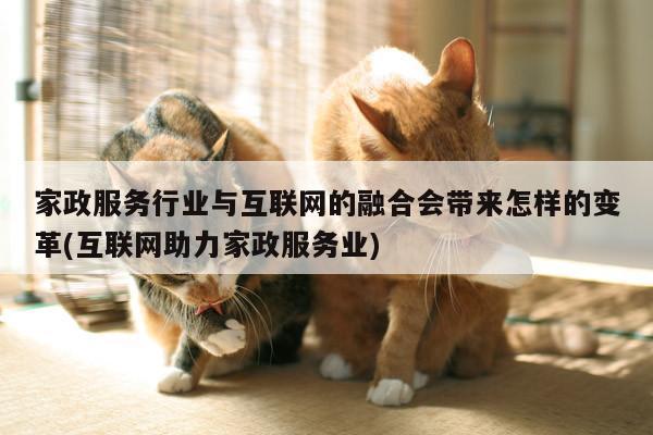 家政服务行业与互联网的融合会带来怎样的变革(互联网助力家政服务业)