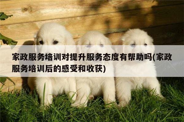 家政服务培训对提升服务态度有帮助吗(家政服务培训后的感受和收获)