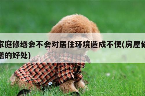 家庭修缮会不会对居住环境造成不便(房屋修缮的好处)