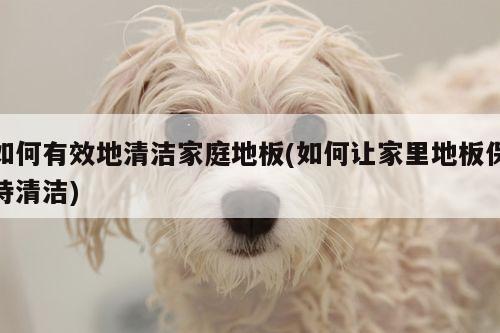如何有效地清洁家庭地板(如何让家里地板保持清洁)